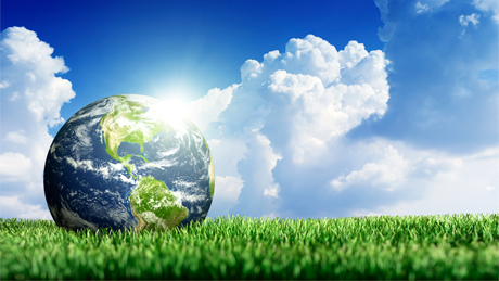 Image de l'environnement